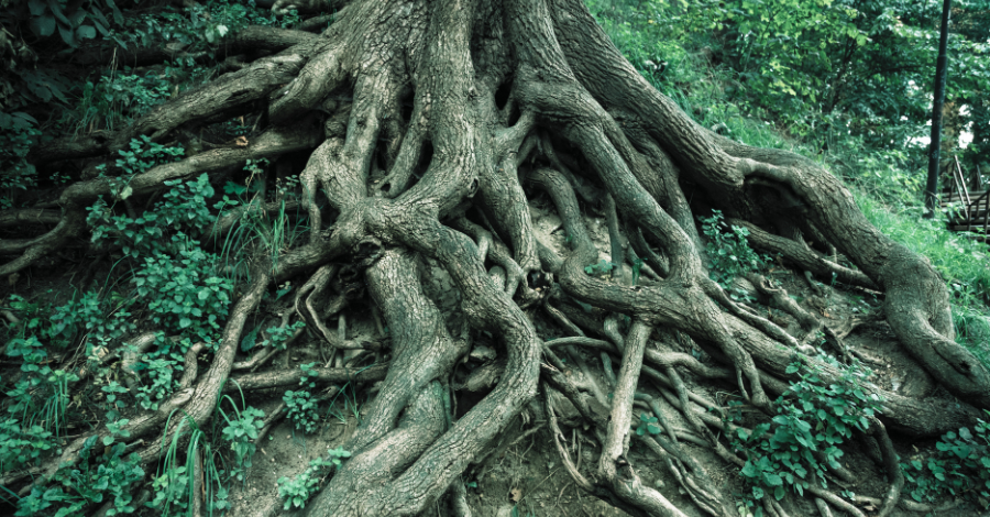Root Cause Analysis: Three Practical Techniques for Solving the Right Problem